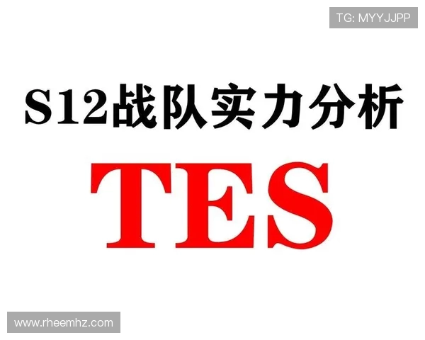 深入分析TES战队的防反策略与战术执行细节