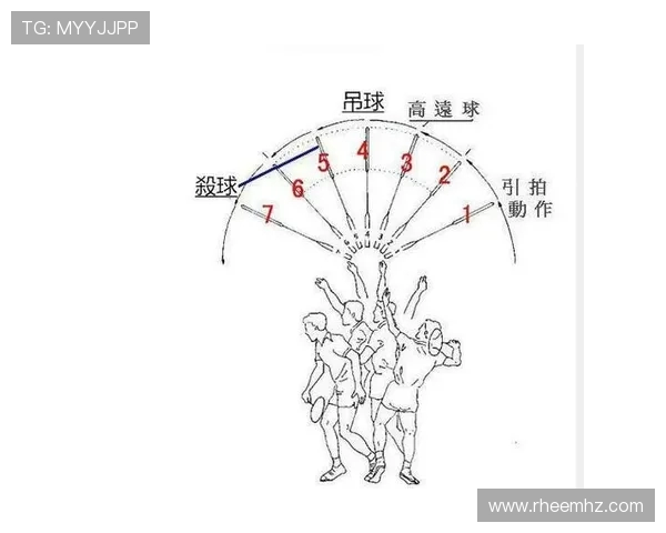 深圳羽毛球队战术解析与训练策略探讨